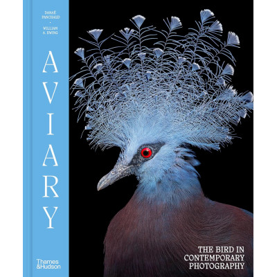 Aviary: The Bird in Contemporary Photography