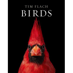 Tim Flach. Birds Tim Flach. Birds