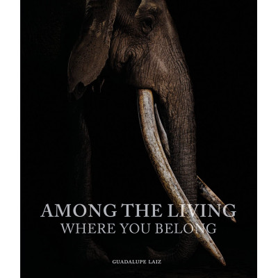Among the Living: Where You Belong