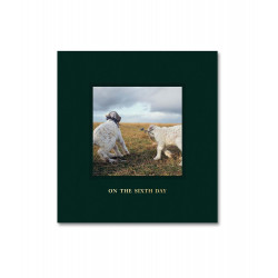 On the Sixth Day. Alessandra Sanguinetti