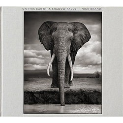 Nick Brandt: On This Earth, A Shadow Falls