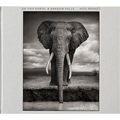 Nick Brandt: On This Earth, A Shadow Falls