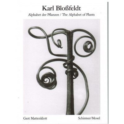 Karl Blossfeldt: Alphabet of Plants