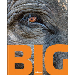 Big: A Photographic Album of the World's Largest Animals