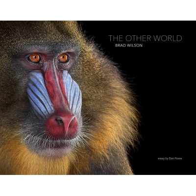 The Other World: Animal Portraits