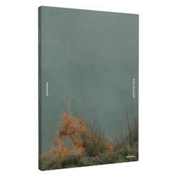 Rinko Kawauchi: Ametsuchi