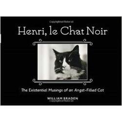 Henri, Le Chat Noir