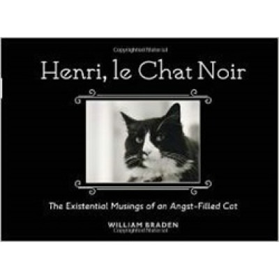 Henri, Le Chat Noir