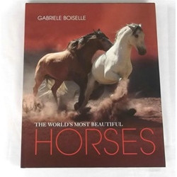 World's Most Beautiful Horses