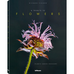 A Tribute to Flowers: Plants under Pressure