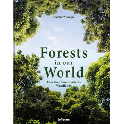 Forests in our World: How the Climate Affects Woodlands