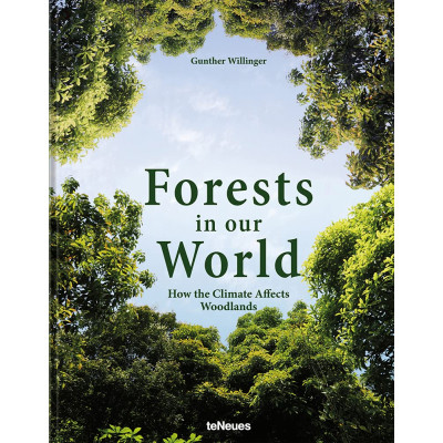 Forests in our World: How the Climate Affects Woodlands