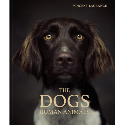 The DOGS Human Animals
