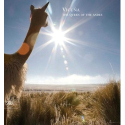 Vicuna: The Queen of the Andes