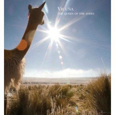 Vicuna: The Queen of the Andes