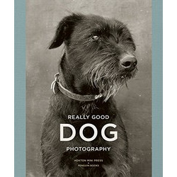 Really Good Dog Photography