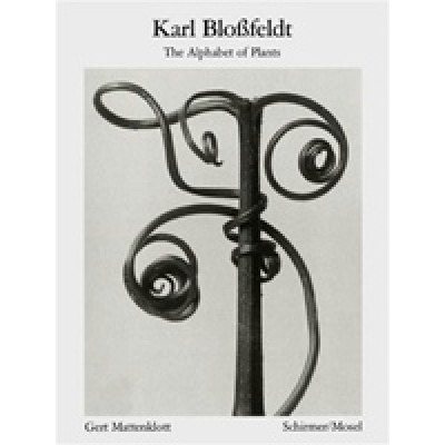 The Alphabet of Plants by von Karl Blossfeldt