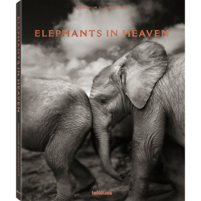 Elephants in Heaven