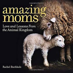 Amazing Moms