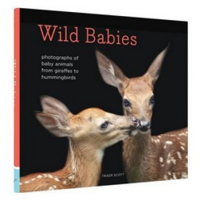 Wild Babies