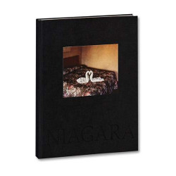 Alec Soth: Niagara