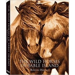 The Wild Horses of Sable Island by Roberto Dutesco