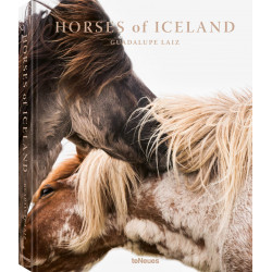 Horses of Iceland