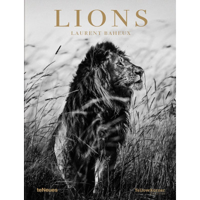 Lions by Laurent Baheux