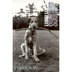 Elliott Erwitt: DogDogs