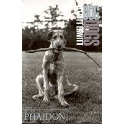 Elliott Erwitt: DogDogs