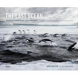 The Last Ocean
