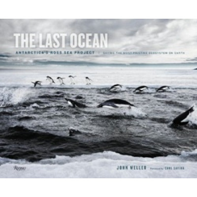 The Last Ocean