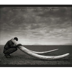 Nick Brandt: Across the Ravaged Land