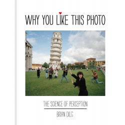 Why You Like This Photo