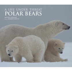 Polar Bears: A Life Under Threat