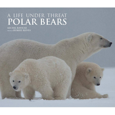 Polar Bears: A Life Under Threat