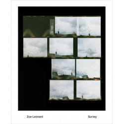 Zoe Leonard: Survey