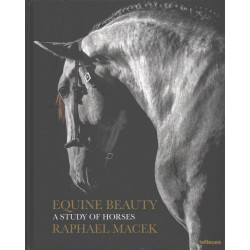 Equine Beauty