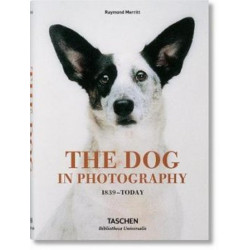 Dogs In Photography 1839-Today