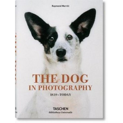 Dogs In Photography 1839-Today