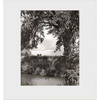 Robert Adams: Cottonwoods