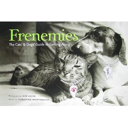 Frenemies: Cats, Dogs, and Lessons in Getting Along