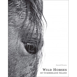 Wild Horses of Cumberland Island