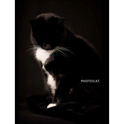 Photocat.