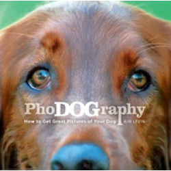PhoDOGraphy: How to get Great Pictures of your Dog