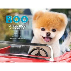 Boo: Little Dog in the Big City (Уценка)