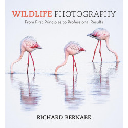 Wildlife Photography