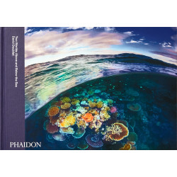 Two worlds: above and below the sea