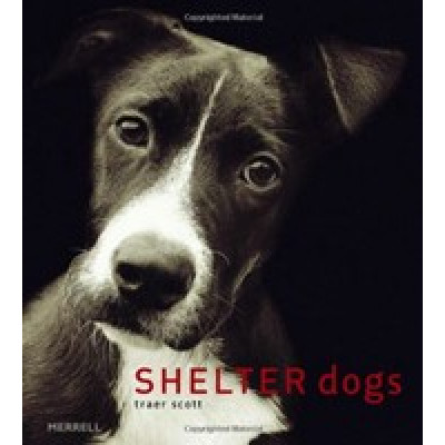 Shelter Dogs