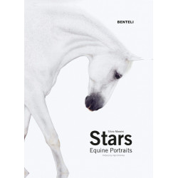 Stars: Equine Portraits